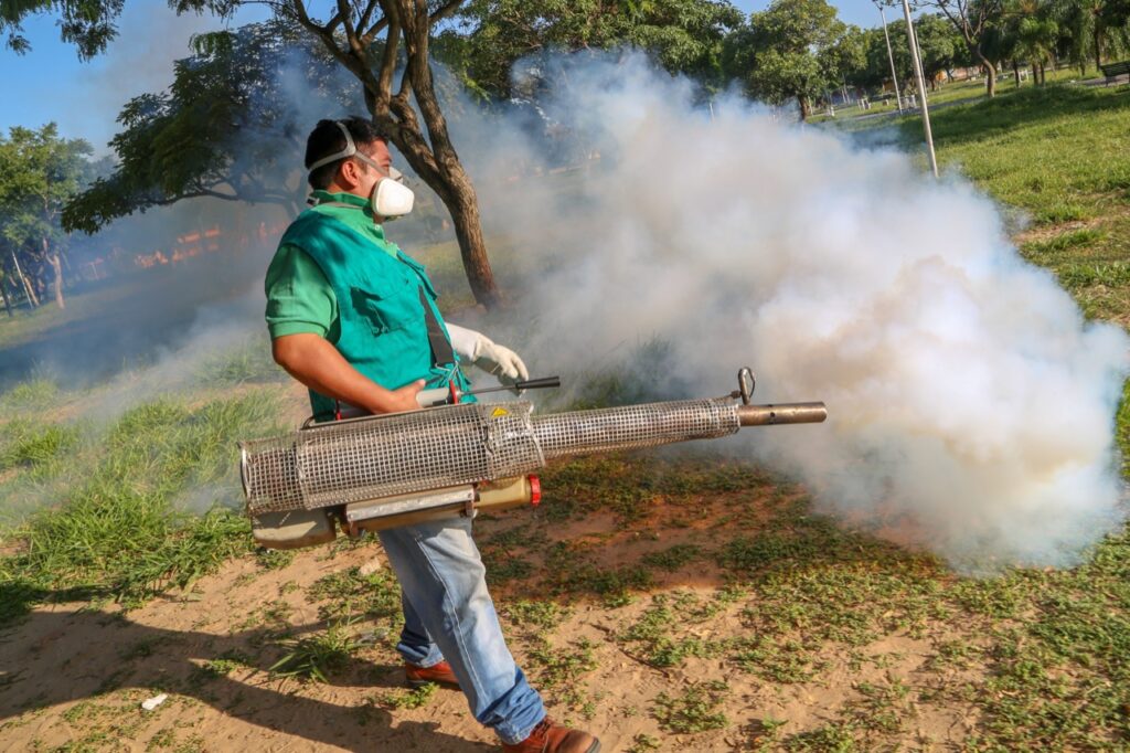 Santa Cruz registra 685 casos de dengue; Sedes organiza la 'Gran Minga' este 2 de febrero 1 Dengue 1