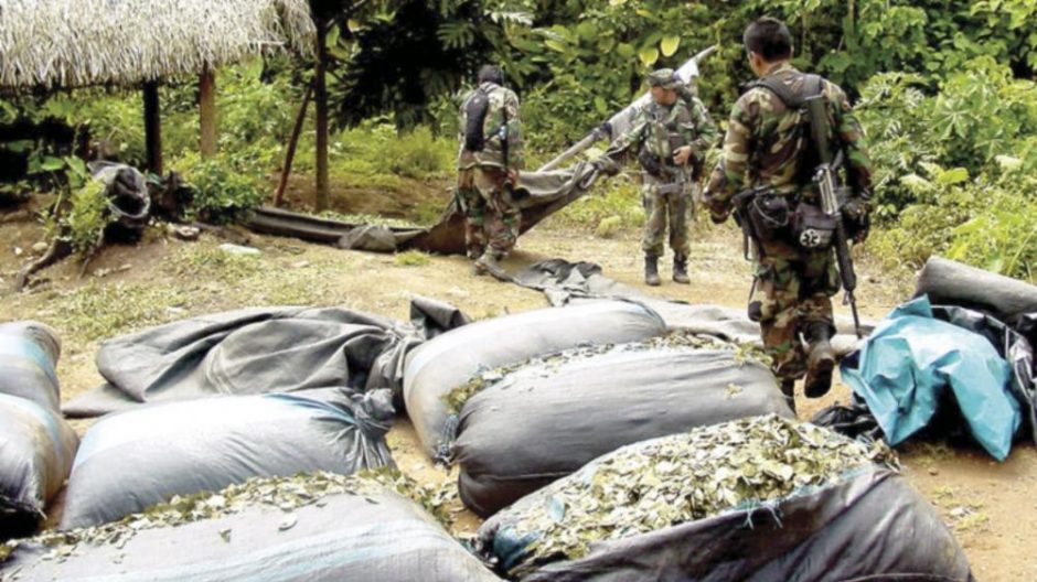 Gobierno de Jeanine declara la guerra al narcotráfico y acusa de permisiva la gestión de Evo 1 Jeani 1
