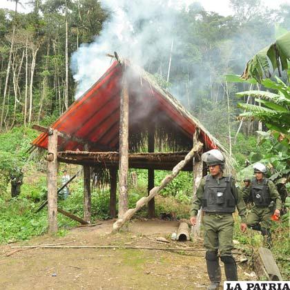 Gobierno de Jeanine declara la guerra al narcotráfico y acusa de permisiva la gestión de Evo 2 jeani 2