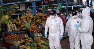 Una mirada a la pandemia en China, Europa y América 2 descarga 2 OK 1