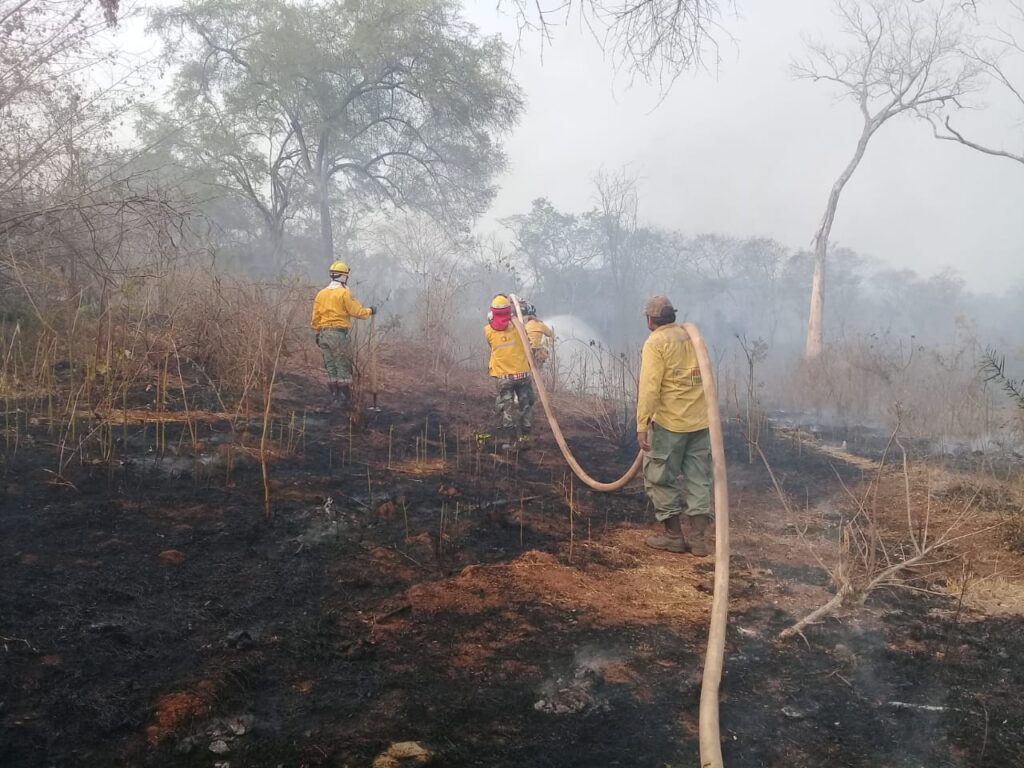 Urge ayuda externa para sofocar los incendios en la Chiquitania 1 INCENDIO