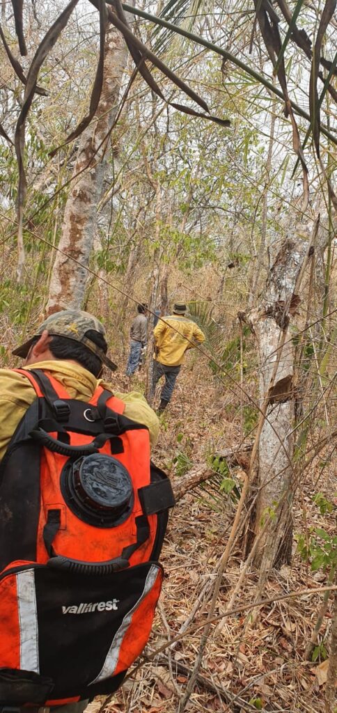 Urge ayuda externa para sofocar los incendios en la Chiquitania 2 INCENDIO 2