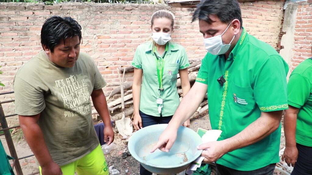 Intensa campaña eliminar los mosquitos de las casas de los barrios 2 mosco 1