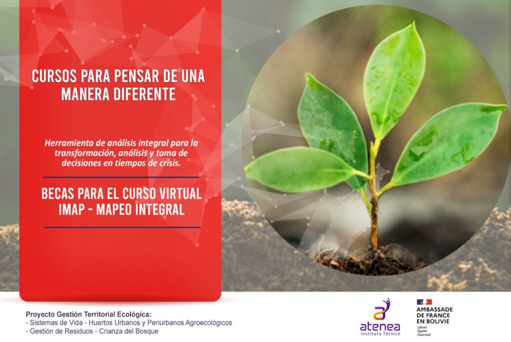 Instituto Atenea finaliza primer taller sobre planificación, asesoría e investigación 1 PENSAR