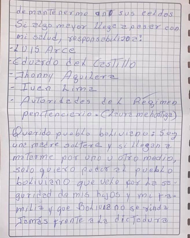 Jeanine Áñez relata cómo la detuvieron: “Más de un centenar de uniformados llegaron armados hasta los dientes y torturaron a mis sobrinos” 6 CARTA 6