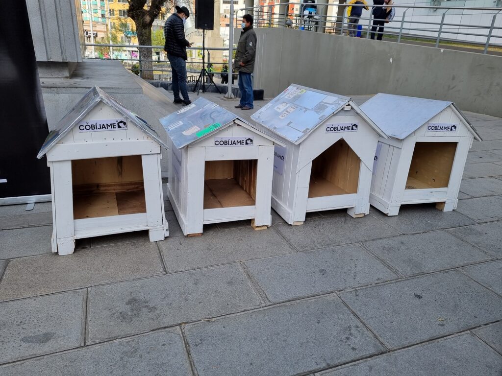 Next Level construirá “casitas” con material reciclado para los perros en situación de calle 2 Cobijame 3