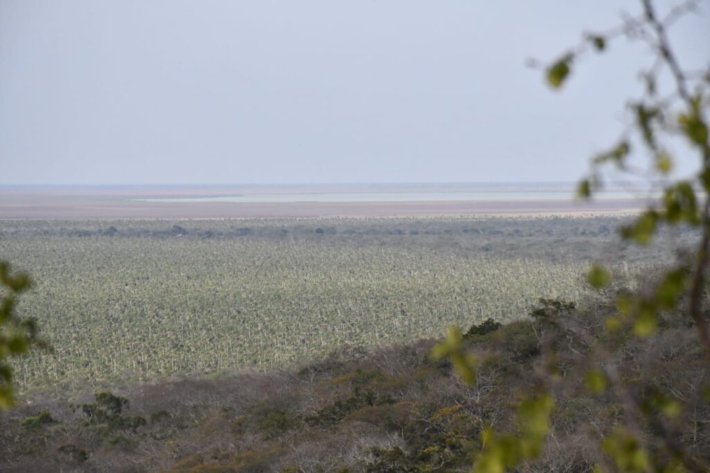 Alarma por la reducción de agua en la laguna Concepción de Pailón 1 lAGUNA 1