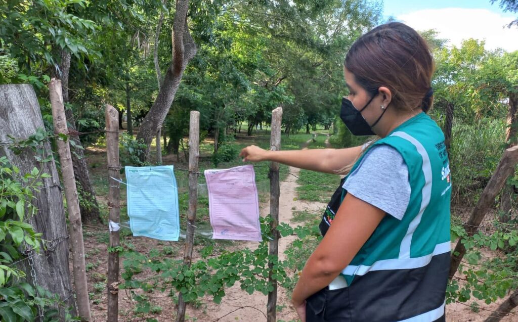 Alcaldía inicia un proceso penal por tala de árboles en cordón ecológico 2 TALA 1