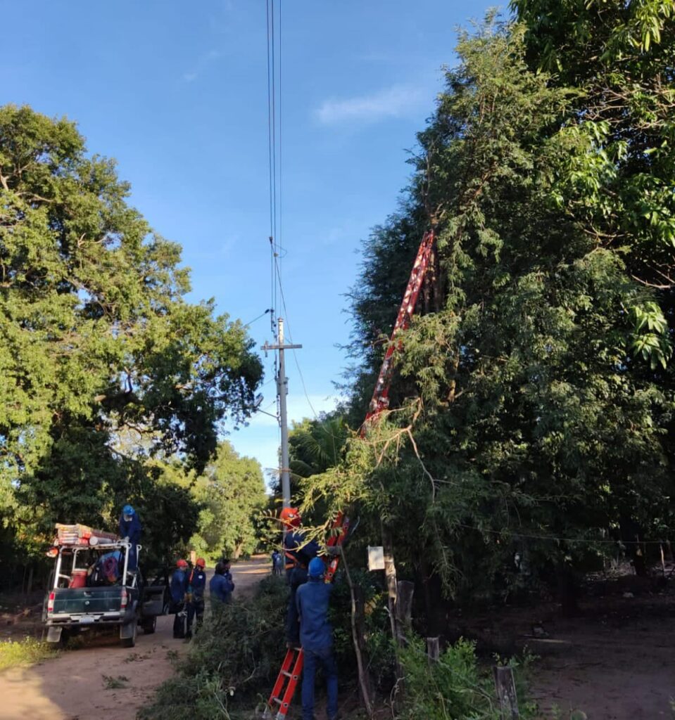 CRE y Emacruz firman convenio para crear abono de la poda de árboles 1 PODA 1