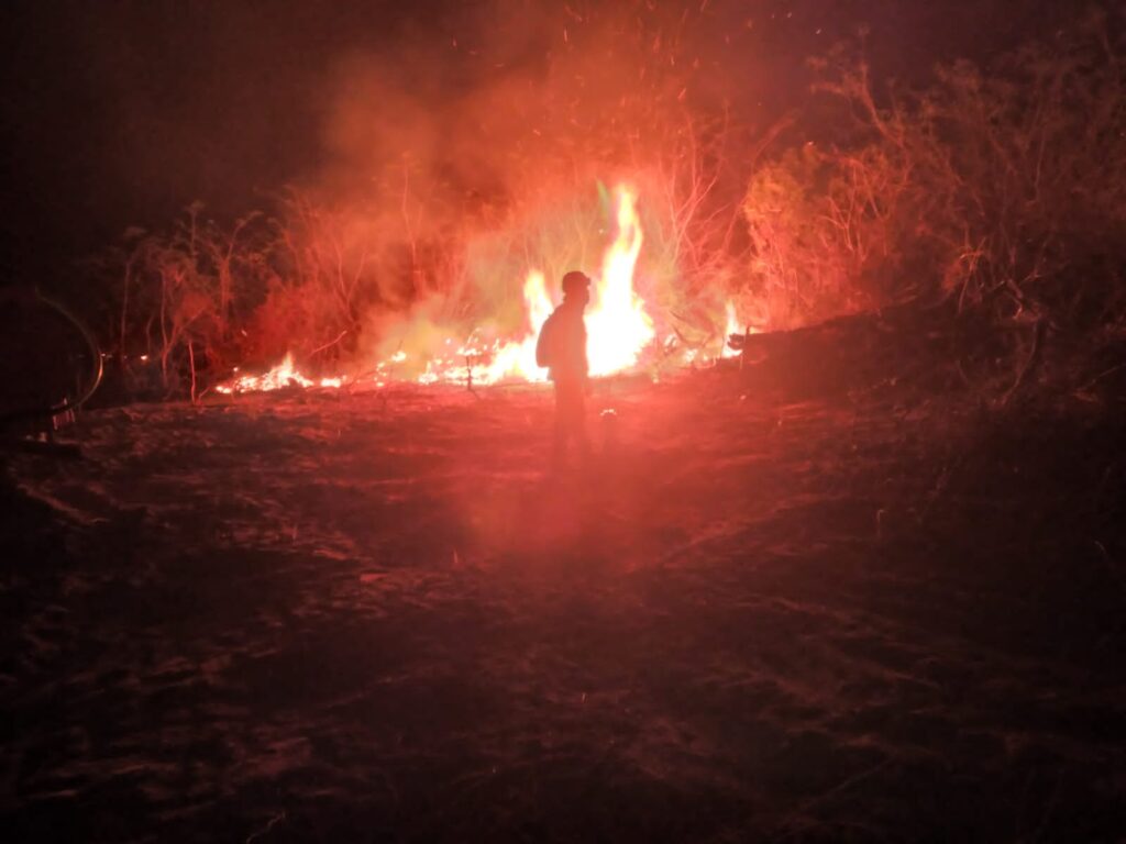 Bomberos forestales controlan y liquidan cuatro incendios en la provincia Chiquitos 1 FUEGO 2