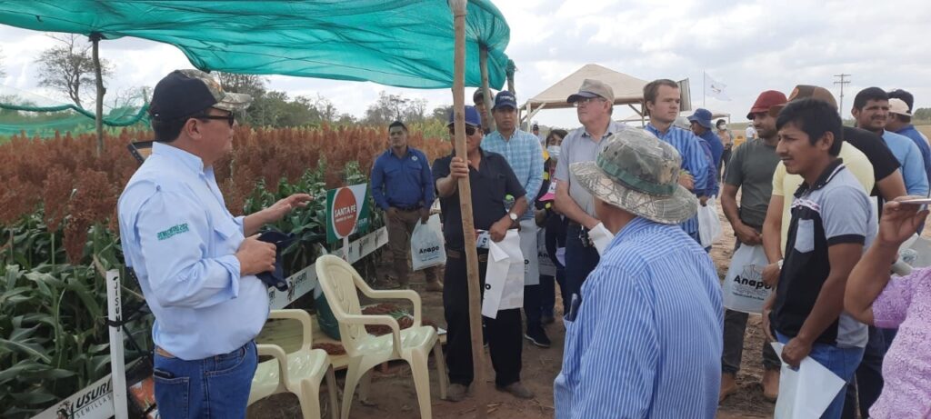 Productores de Cuatro Cañadas, Pailón y San Julián
participaron en el Día de Campo de cosecha de invierno 1 invierno 2