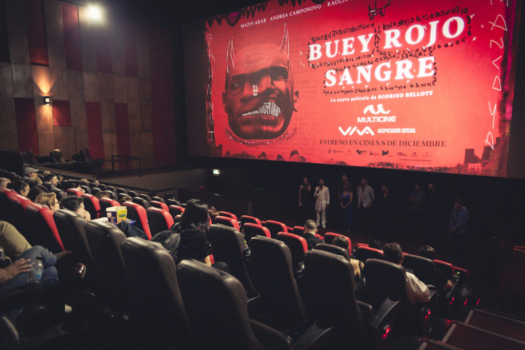 Buey Rojo Sangre 6