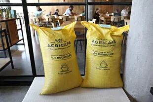 El café de Bolivia se destaca por sus notas a fruta fresca, con un retrogusto a madera, muy floral