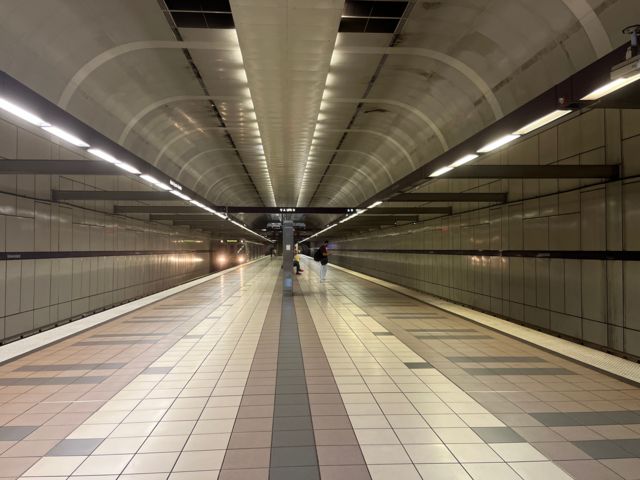 El moderno tren en el que Puerto Rico gastó más de $US 2.000 millones y que "no llega a ninguna parte" 3 Estación del Tren Urbano de Puerto Rico en Río Piedras