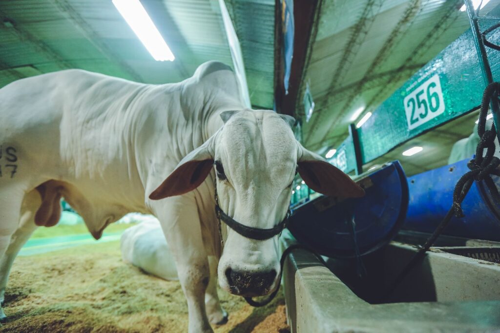 agri 4