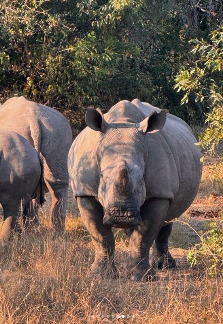 Las fotos de las vacaciones del Cholo Simeone y Carla Pereyra en África 5 cholo 4