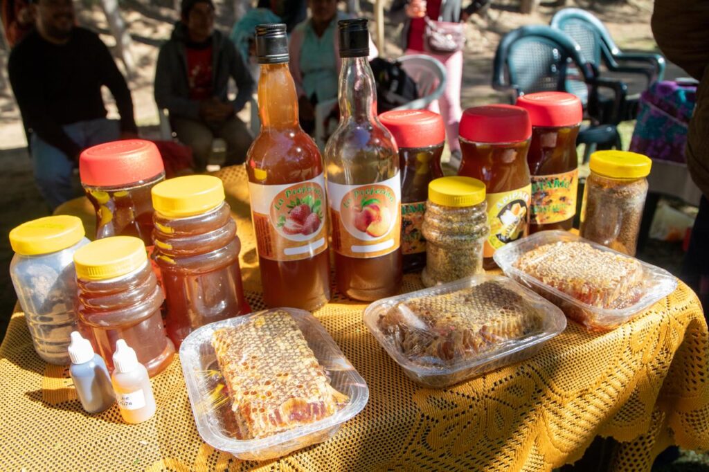 Productores de Samaipata comparten experiencia con becarios sobre implementación del método Shep 2 mer 2