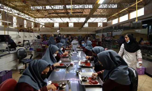 "Tienes que traer la autorización firmada de tu esposo": las duras leyes que enfrentan las mujeres de Irán para conseguir un trabajo 2 mujeres trabajando en fábrica de azafrán