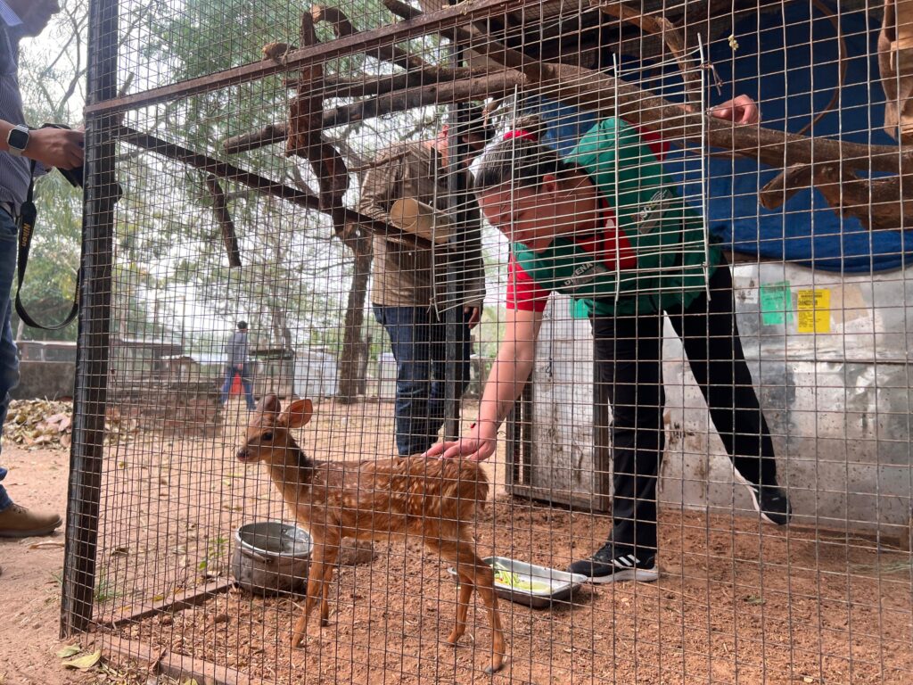 Gobernación cruceña continúa gestionando donaciones para los animales silvestres rescatados 1 230ccf68 98ab 4fea 9fba b42367e7dd5b