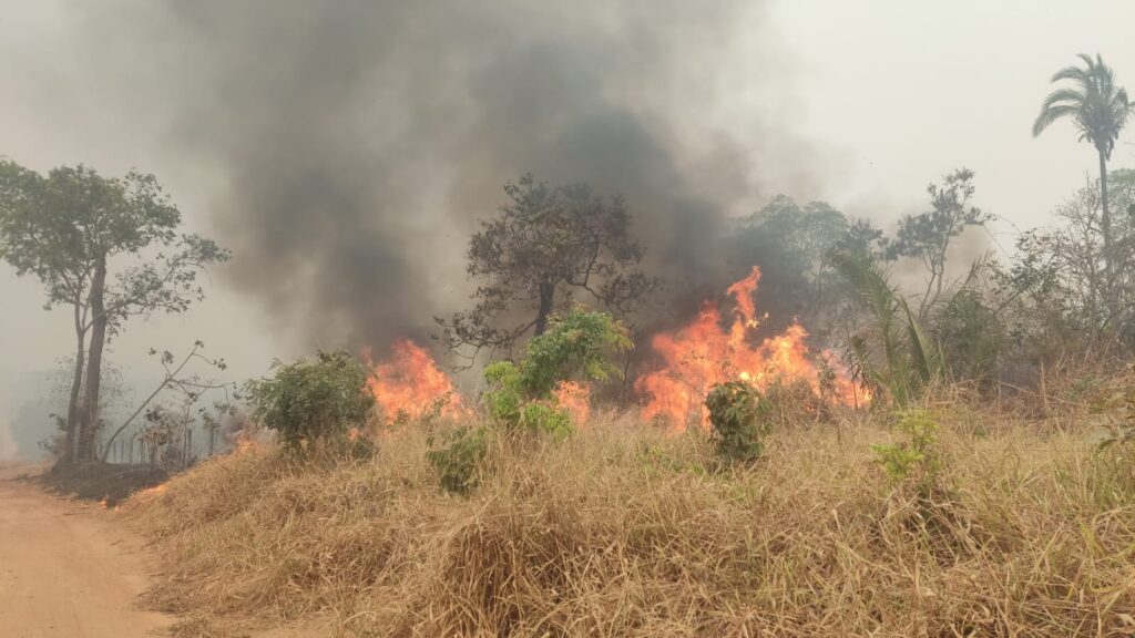 Septiembre inicia con 53 incendios forestales en 14 municipios 1 FUEGI 4