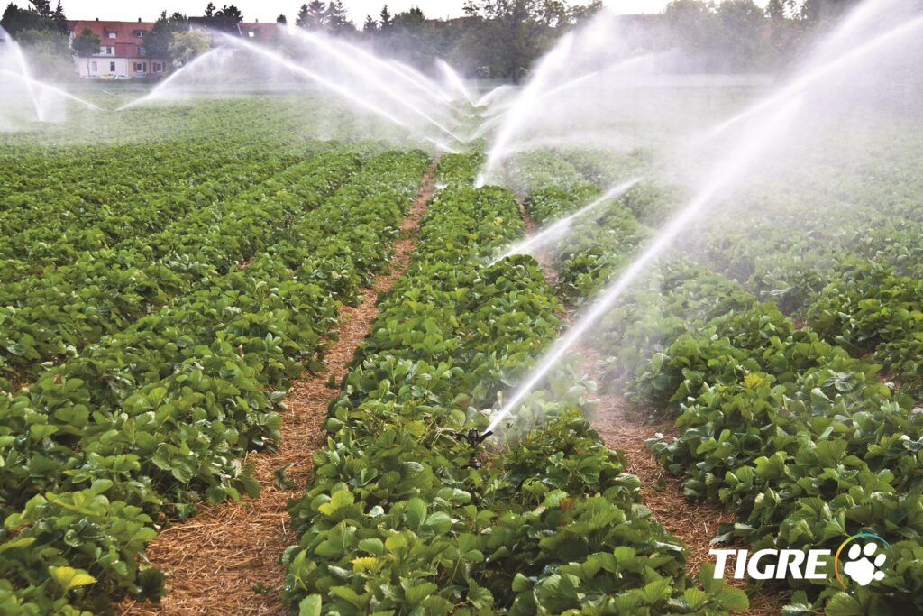 Tigre participa en la feria Agro Vidas con su gama de productos para el campo 2 Riego Paisaje