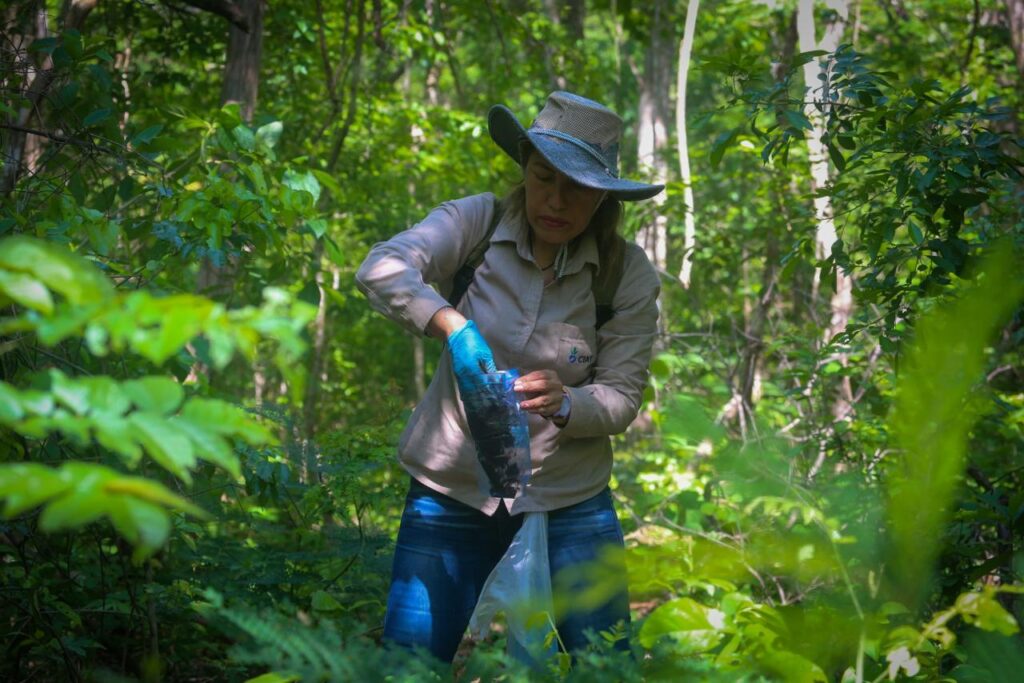 CIAT refuerza su compromiso con la investigación y recuperación de tierras afectadas por los incendios 1 TIERRA 3