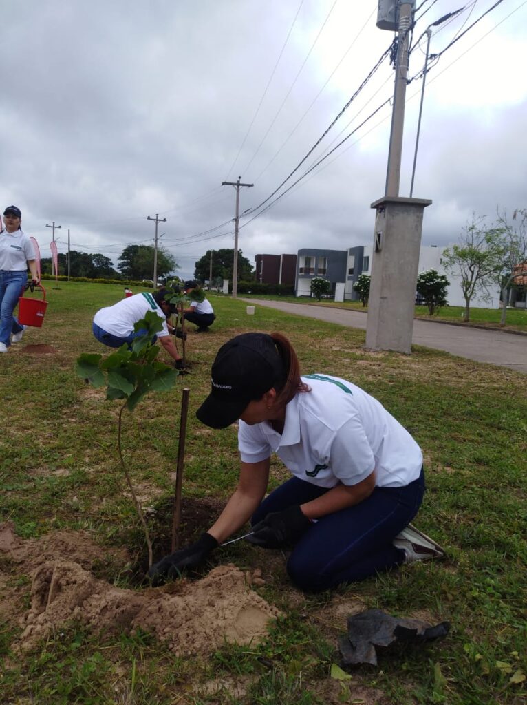 Banco Ganadero colabora con Ecosector para plantar 150 árboles de Tajibo 2 IMG 5419
