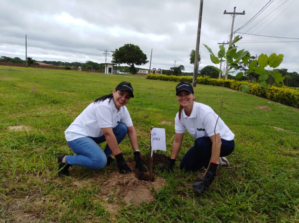 Banco Ganadero colabora con Ecosector para plantar 150 árboles de Tajibo 1 IMG 5420