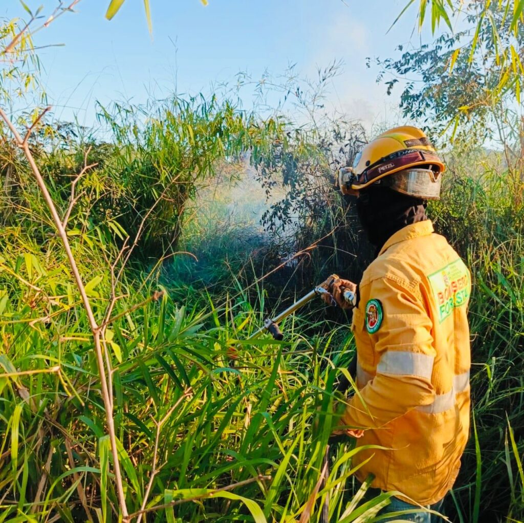 Gobernación liquida incendio de interfaz en San Ignacio de Velasco 1 0bfcd734 9d27 40ff b2e1 25d6d7d8e4b4