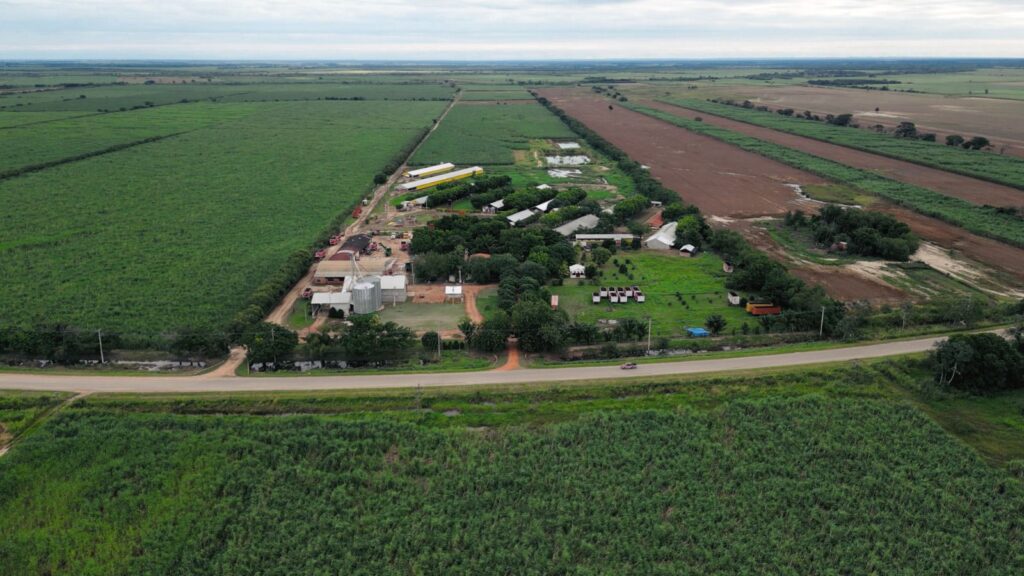 Santa Cruz tiene la mejor granja de cerdos de Bolivia: San Jorge fue premiada en Brasil y está entre las 6 top internacional 1 GRAJA 2