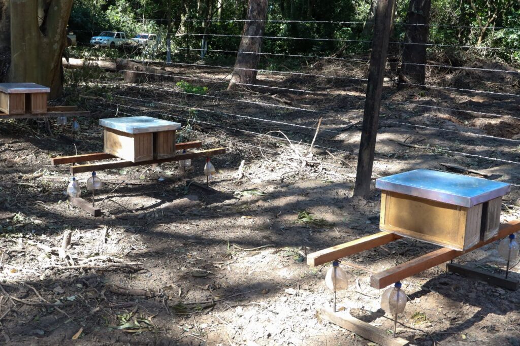 Cenvicruz recibe donación de 30 cajas de apicultura y relanza su producción de miel 2 miel 3