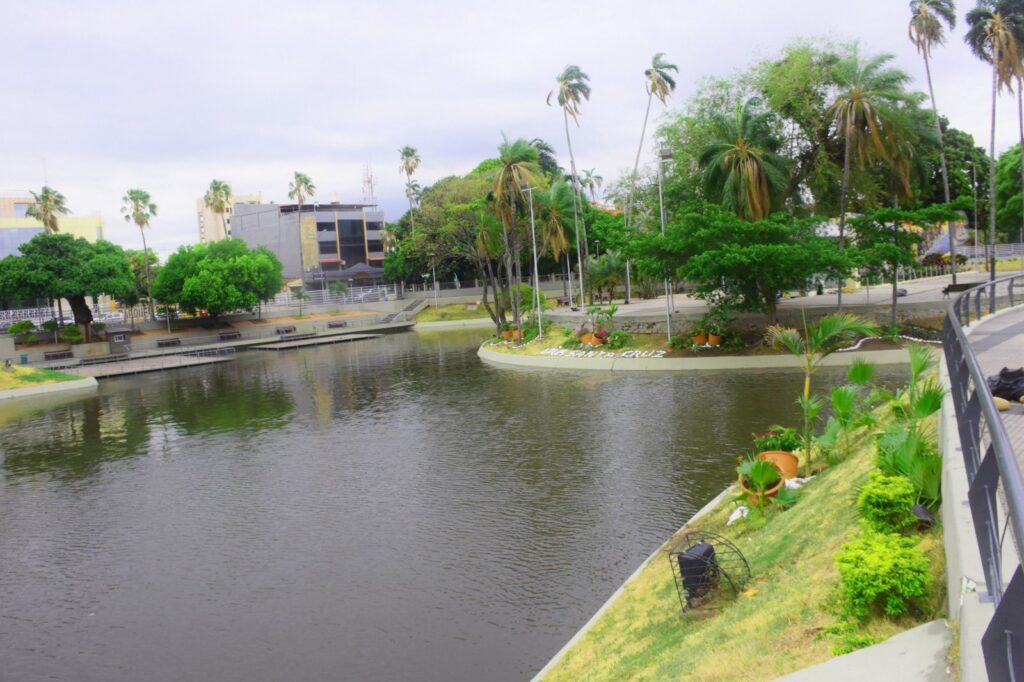 ARENAL 6