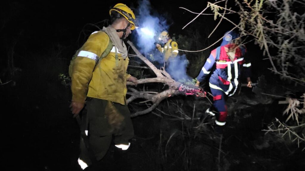 2303a21f 77a3 4e12 9131 e5ebb482e962