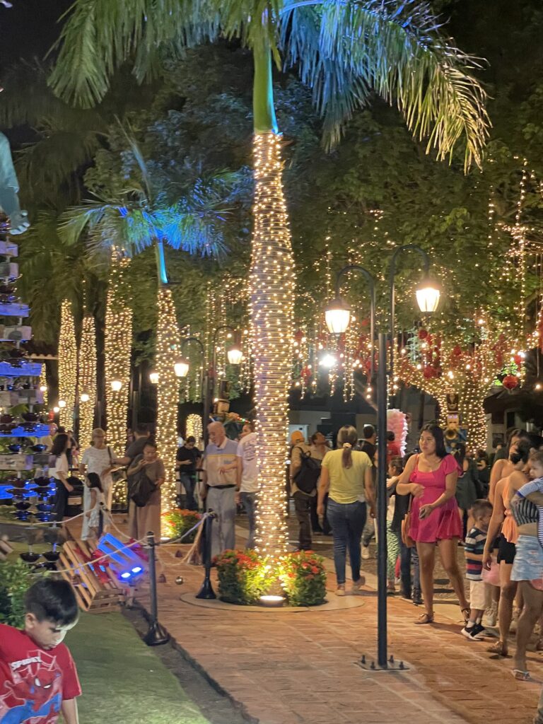 ¡Se encendió la Navidad! CRE inauguró la Plaza de la Luz con un recorrido por la historia del servicio eléctrico en Santa Cruz 1 IMG 0369