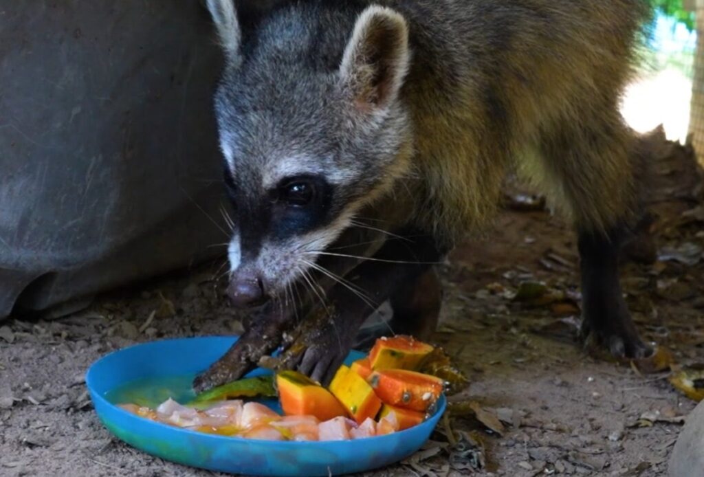 216c3aa2 6b15 494f baea 7eaf516f8503