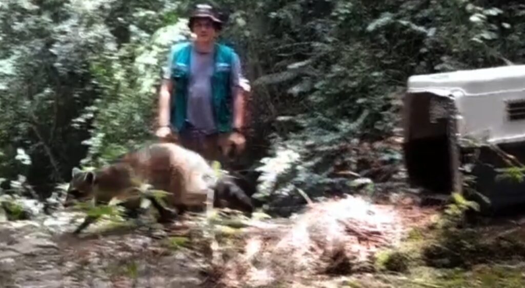 4b71577c 33ee 4c2f a0b3 de9fbbf675e4