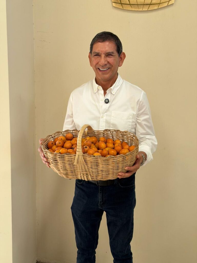 c92a2300 7698 41ee a4da 4bcdd40fe6c4