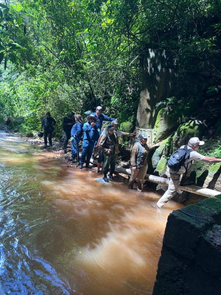 bed9f6e1 304c 439b 8e26 91639e1720ff