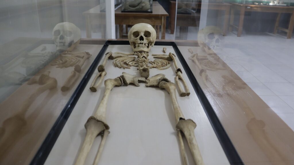 7982f987 1d19 46cb 9d12 feb57e2b7a11